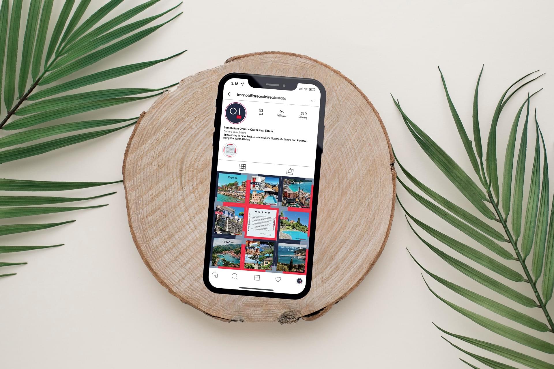 Immobiliare Orsini – Servizio di Social Media Management